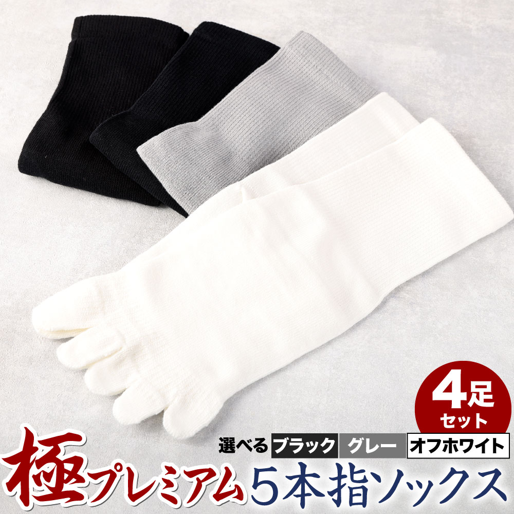 【ふるさと納税】【25-27cm】創業115年の老舗靴下メーカーが作る「極プレミアム」 5本指 ソックス 同色 2足組 2セット（ 4足 ） ブラック/グレー/オフホワイト 選べるカラー 黒 灰色 白 靴下 メンズ 国産 福岡県 北九州市 送料無料