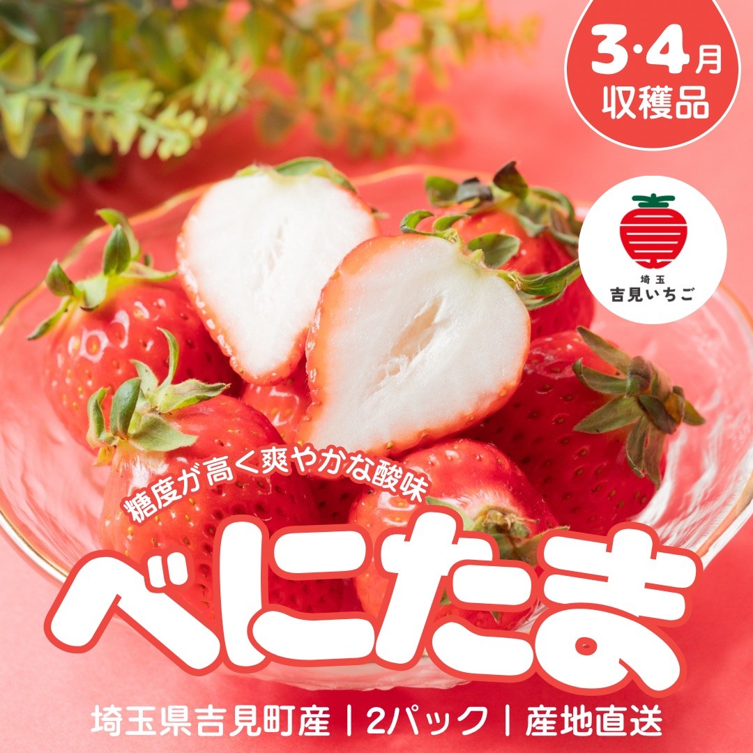 
                  【3～4月収穫分】埼玉県吉見町 吉見いちご【べにたま】2パック｜ブランドいちご 産地直送
                