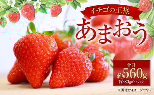 福岡県産 あまおう 約280g×2パック 合計560g 果物 くだもの フルーツ 苺 いちご イチゴ ストロベリー デザート 福岡県 太宰府市【2026年1月上旬～4月上旬発送予定】