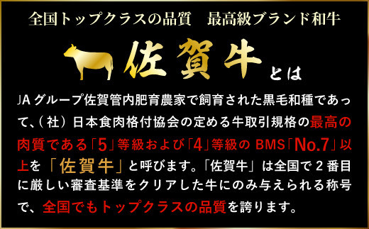 佐賀牛モモスライス 600g (300g×2パック)