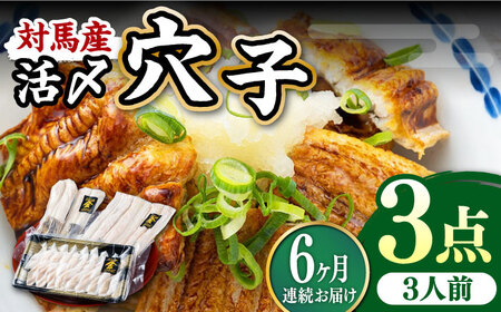 【全6回定期便】対馬産 活〆 穴子 ３点 セットC【THE・対馬株式会社】《対馬市》新鮮 あなご 刺身 天ぷら 海鮮 肉厚 簡単調理 三人前  九州 長崎 [WAS013]