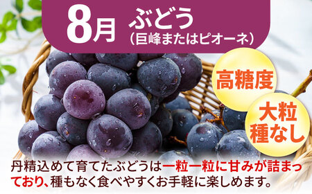 【★先行予約★　2025年2月発送開始】【3回定期便】フルーツ定期便パート2 (いちご・びわ・ぶどう) フルーツ くだもの 果物 果実 イチゴ 苺 ブドウ ビワ 広川町/JAふくおか八女農産物直売所ど