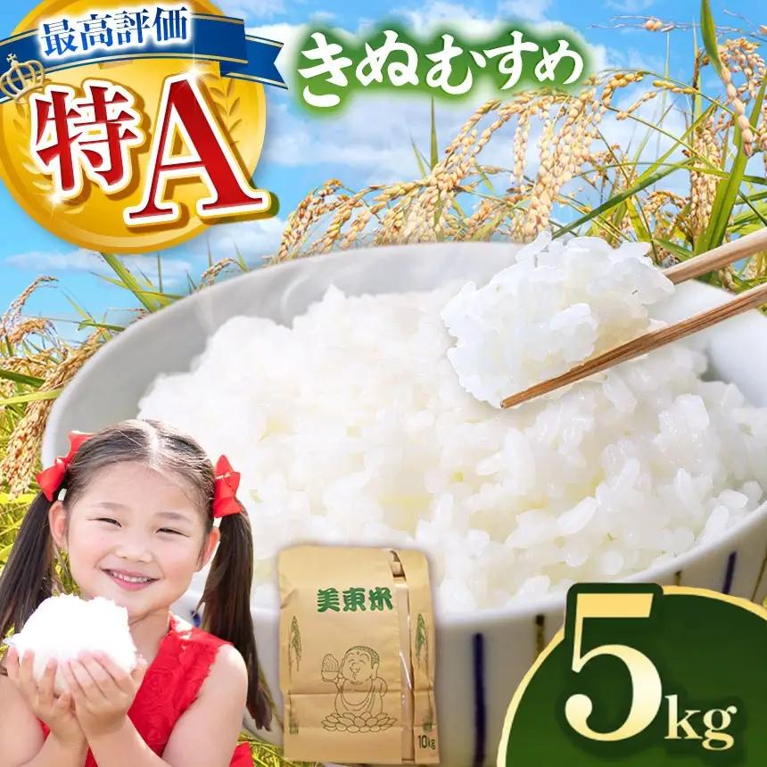 令和8年度産 新米 きぬむすめ 白米 5kg 村上農園 先行予約 ＜2026年10月中旬より11月末まで順次発送 ＞