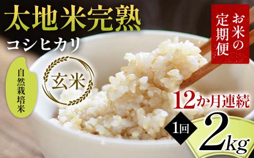 お米の定期便 自然栽培米 太地米完熟 【こしひかり】 玄米2kg×12か月連続 ブランド米 お米 人気 F7X-0435
