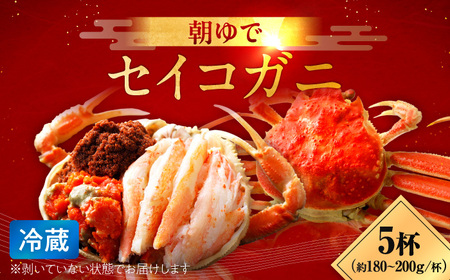【先行予約/11月7日より順次発送】朝ゆで国産セイコガニ　5杯 [BFAA004] 【配送不可地域：北海道・沖縄・離島】 