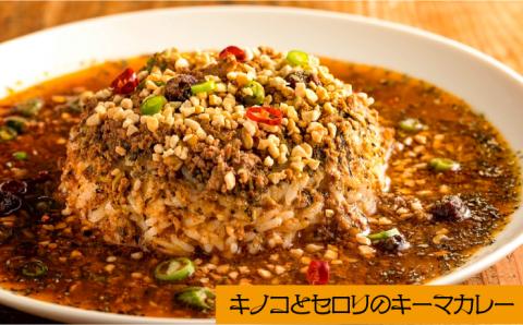 キノコとセロリの キーマカレー 150g×2パック  / カレー 南島原市 / はなぶさ [SCN054]