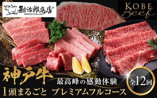 
                  神戸牛 【1頭まるごとプレミアムフルコース】一頭まるごと、最高峰の感動体験 [ブランド牛 神戸牛 黒毛和牛 国産牛 神戸ビーフ 高級和牛 神戸肉 KOBE BEEF 兵庫県神戸牛 但馬 西宮市]
                