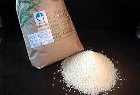 【令和8年産新米予約】【6か月定期便】新潟県認証 特別栽培米 コシヒカリ 5kg×6回 9月下旬より順次発送 1G15091