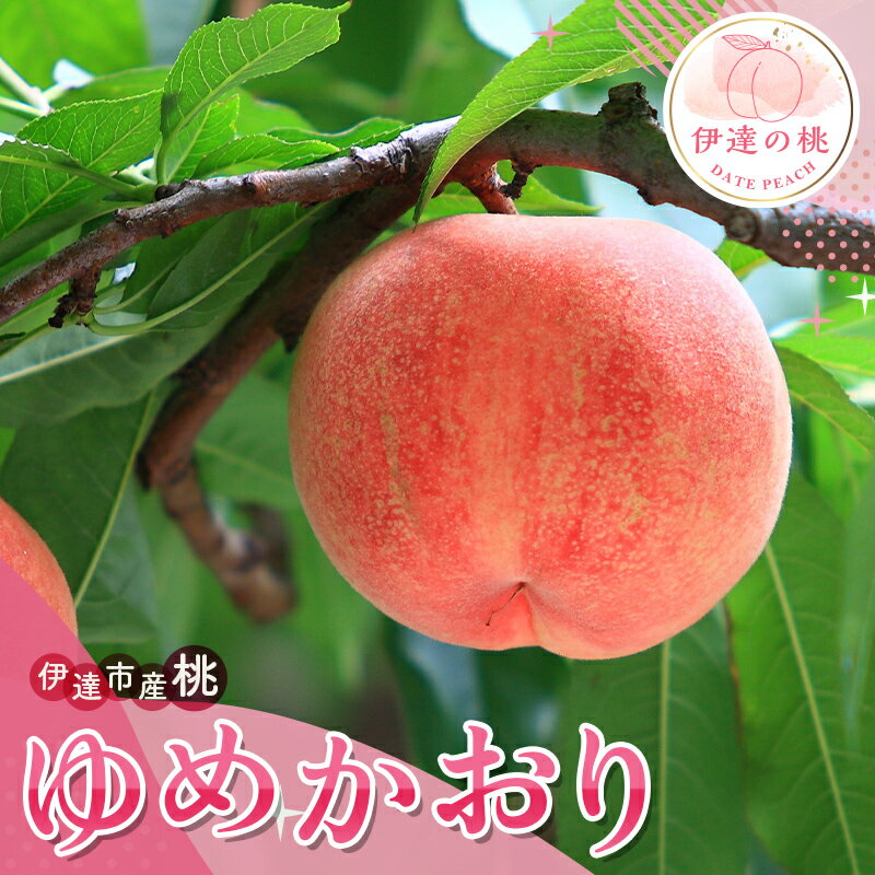 【ふるさと納税】2025年出荷分 先行予約数量が選べる 福島の桃 ゆめかおり 3kg 5kg 2025年9月中旬〜2025年9月下旬 先行予約 予約 新品種 超大玉 大玉 固め 伊達の桃 桃 もも モモ 果物 くだもの フルーツ F20C-838var