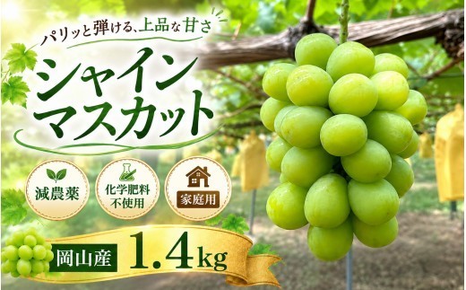 【2027年先行予約】シャインマスカット ご家庭用約1.4kg(350g×4パック) 全房糖度チェック 100％有機肥料使用・減農薬栽培 見栄えと味にとことんこだわった 岡山産シャインマスカット ぶどう 葡萄 ブドウ マスカット シャイン シャインマスカット 皮ごと 種無し ぶどう 岡山県Y'sFarm【ysfm004-02】