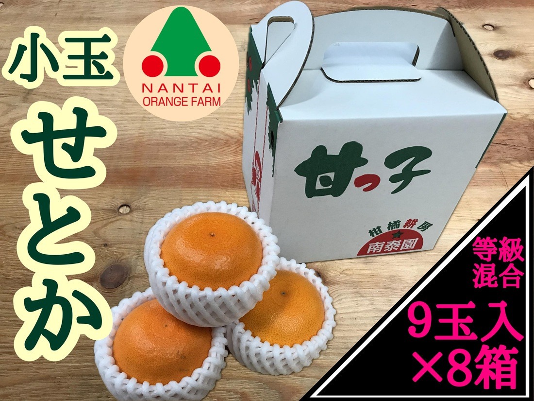 ［8箱セット］甘っ子 小玉 ハウス せとか 9玉入 × 8箱 手さげ箱 南泰園 BS175
