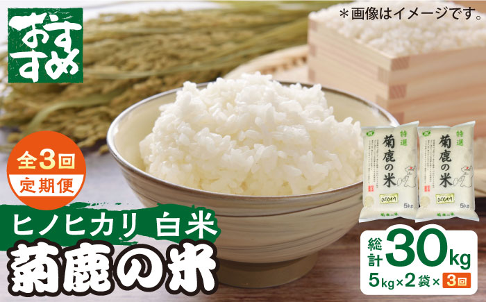 【新米先行予約】【3回定期便】菊鹿の米 ヒノヒカリ 白米 5kg×2袋【有限会社 あそしな米穀】 [ZBI017]