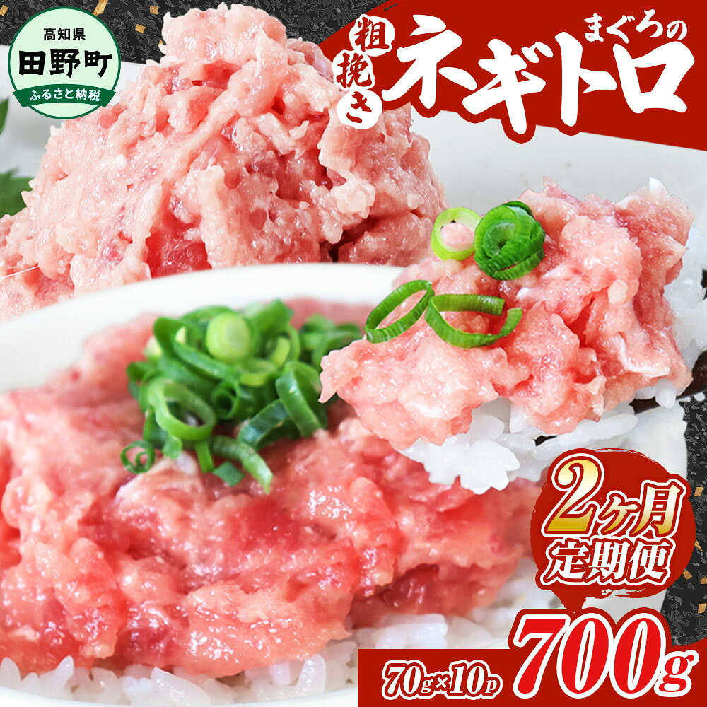 【ふるさと納税】ネギトロ 700g（70g×10パック）×2ヶ月定期便 ≪カネアリ水産≫ ねぎとろ まぐろ 鮪 マグロ キハダマグロ まぐろたたき 粗挽き 小分け パック 海鮮 魚介 便利 簡単 冷凍 配送 高知県 田野町 ふるさとのうぜい 故郷納税 返礼品 ～四国一小さなまち～