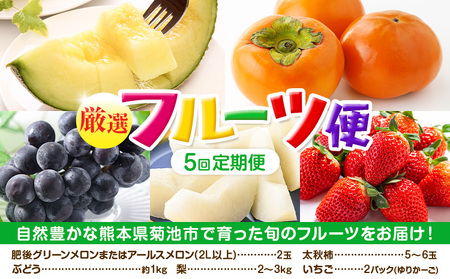 【定期便5回】 厳選フルーツ便 (メロン ぶどう 梨 柿 いちご) 《お申込み月の翌月から出荷開始》葡萄 ブドウ ナシ なし かき 太秋柿 イチゴ 苺 果物 くだもの セット 詰め合わせ 定期便