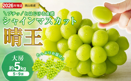 【2026年発送分 先行受付スタート！】岡山県産シャインマスカット「晴王」秀品 大房　約5kg（5～9房程度）（令和8年8月中旬～11月中旬頃発送）【シャインマスカット 晴王】hz-s