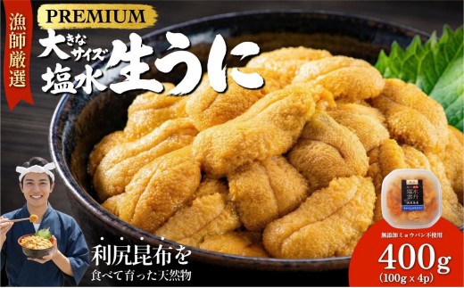 【2026年発送受付】漁師厳選！利尻天然うに”プレミアム”ムラサキウニ 400g塩水パック【2026年6～8月発送分】｜北海道 朝獲れ 塩水 ウニ 無添加 ミョウバン不使用 生 うに 雲丹 国産 天然 利尻 キタムラサキ ムラサキ [1060078]