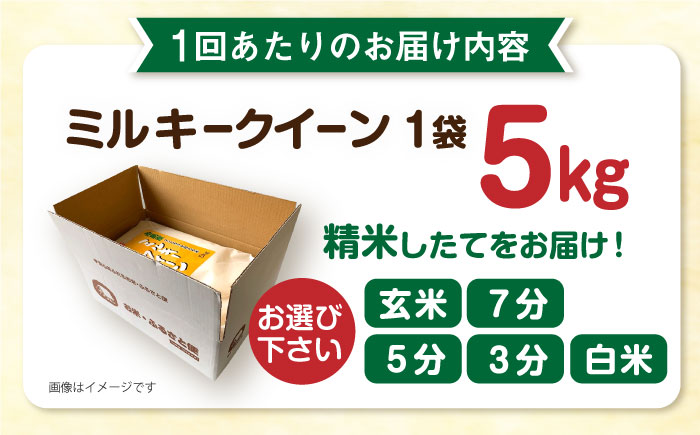 【 6回 定期便 】 ミルキークイーン 5kg 《糸島》 【玄米・精米専門店 新飼宗一郎商店】 [ADE005]