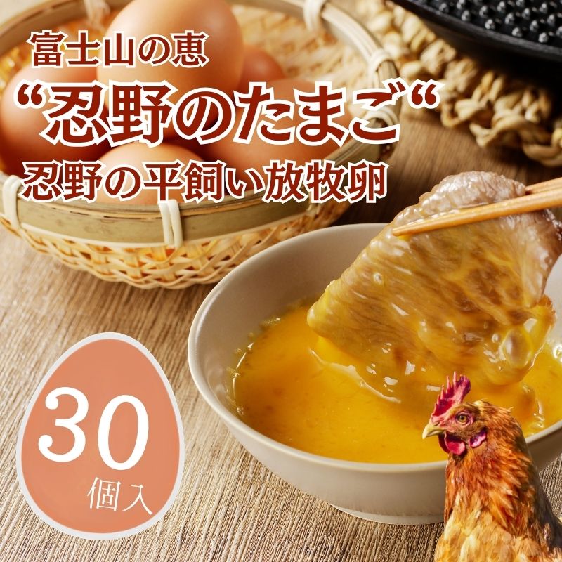 【ふるさと納税】忍野の平飼い放牧卵　30個　|| 山梨県産 新鮮 産地直送 たまご 平飼い 放牧 卵 玉子 送料無料 送料込 家庭用 鶏卵 生卵 コク うまみ 濃厚 美味しい 自然豊か のどか 白身 黄身 プリン 安心 元気 栄養満点 安全 こだわり 贈答 贈り物 旨い
