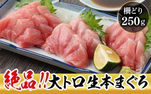 【冷蔵・指定日着可】生本マグロ 大トロ 250g（柵どり）