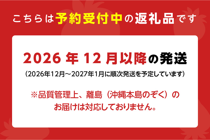 【2026年12月以降お届け】福岡産［冬］あまおう2パック_冬くるめ あまおう 250g × 2パック 合計 500g 冷蔵 濃厚 甘い 大粒 果汁 アフター保証 安心安全 国産 いちご 果物 アレン