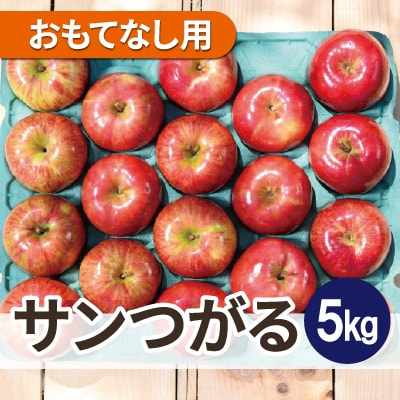 【25年8月より順次発送】平均糖度12度以上! サンつがる 約5kg おもてなし用 クール便【配送不可地域：離島・沖縄県】