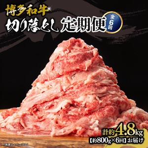 博多和牛　切り落とし　定期便全6回　計約4.8kg（約800ｇ×６回）