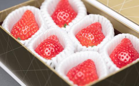 【先行予約】とちおとめ 特別厳選 まなこころ・彩(210g【6粒】) | とちおとめ トチオトメ イチゴ 苺 いちご 新鮮 大粒 箱 真心農園 果物 フルーツ 自然 甘い 美味しい ジューシー ビタミ