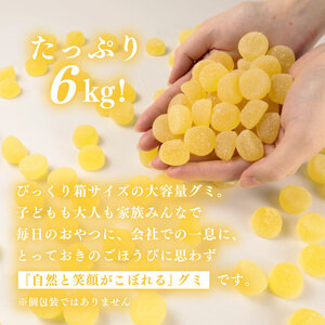 訳あり グミ 柑橘味  6kg × 1袋 フルーツ 果物 柑橘 約1200粒 ニューサマーグミ 菓子 お菓子 駄菓子 おやつ 果物グミ ぐみ 徳用 埼玉県 羽生市