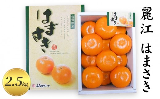 
                  [№5353-0589]【麗江】はまさき 2.5kg 柑橘 果物 フルーツ デザート ※配送不可:離島
                