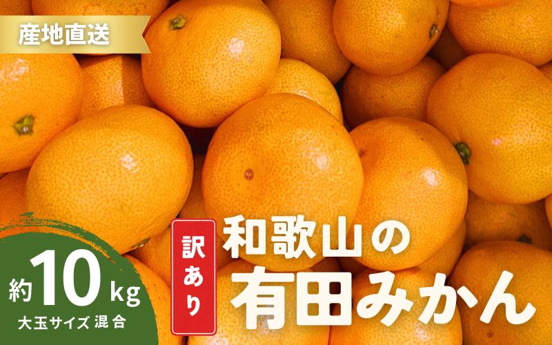 
家庭用 訳あり 有田みかん 和歌山 大玉(2L,3Lサイズ混合) 10kg【10月上旬～1月下旬頃に順次発送】/ みかん フルーツ 果物 くだもの 有田みかん 蜜柑 柑橘【ktn012A】
