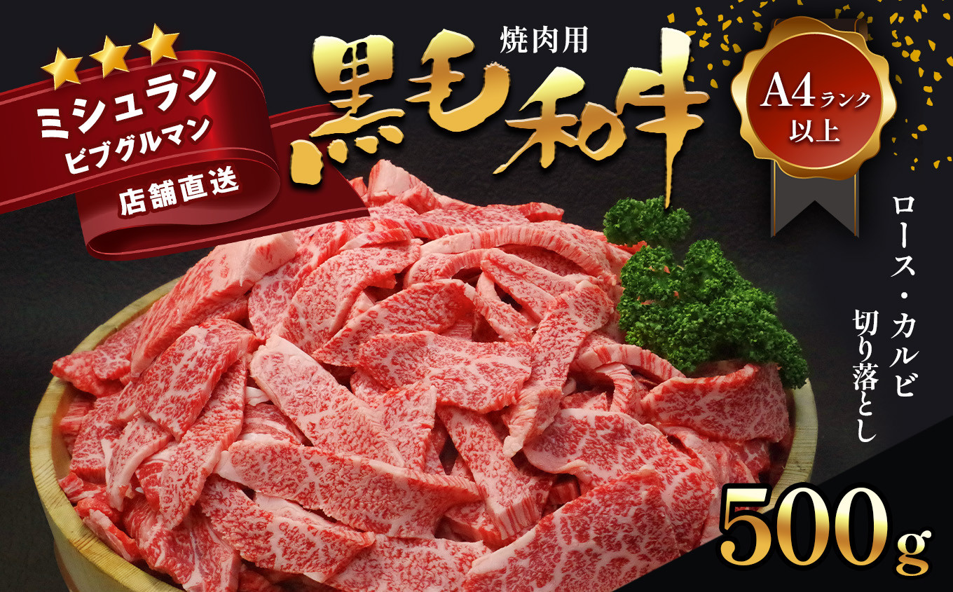 
黒毛和牛 焼肉用 ロース カルビ 切り落とし 500g A4～A5ランク | 肉 にく 人気 焼肉 すき焼き ミシュラン 獲得店 ブランド牛 熊本県 苓北町
