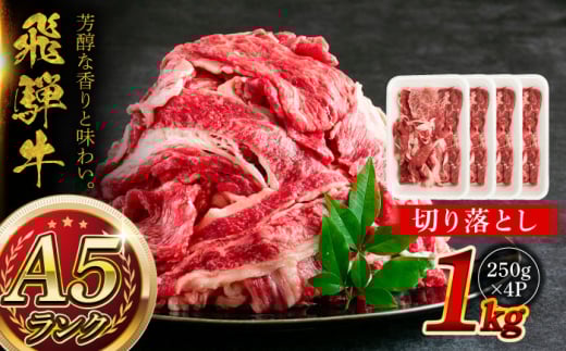 A5等級 飛騨牛 切り落とし 1kg (250g×4P) 瑞浪市 / マルチョウ渡辺精肉店 牛肉 和牛 国産 飛騨牛 岐阜県 飛騨牛牛肉 飛騨牛肉 切り落とし牛肉 切り落とし飛騨牛 飛騨牛 和牛肉 和牛飛騨牛 国産牛肉 国産飛騨牛 ぎゅうにく 飛騨ぎゅう ヒダギュウ ひだ牛 牛肉 飛騨牛 飛騨 牛 切り落とし [AZCW002]