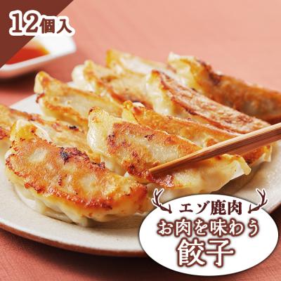 ふるさと納税 中標津町 エゾ鹿肉 お肉を味わう餃子 12個入