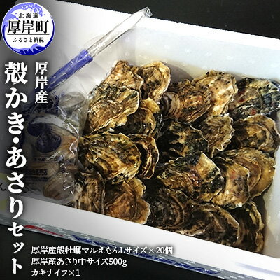 【ふるさと納税】牡蠣 厚岸産 殻かき あさり セット　 生食 生牡蠣 貝付き牡蠣 貝 海鮮 魚介類 殻付き牡蠣 　お届け：※8月は配送不可となります。