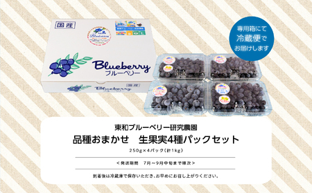 《2026年7月以降順次発送》ブルーベリー果実1kg（品種おまかせ）　ブルーベリー フルーツ【東和ブルーベリー研究農園】