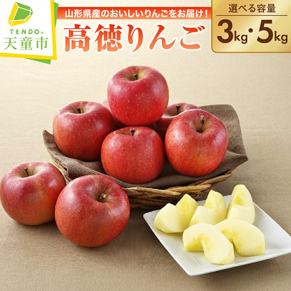 【ふるさと納税】 りんご ( こうとく ) 選べる 3kg / 5kg 高徳 りんご 果物 フルーツ 秀 3kg / 10玉 〜 20玉 5kg / 16玉 〜 30玉 蜜入り 小ぶり 希少 ご家庭用 のし 贈答 ギフト おすそ分け お取り寄せ 旬 秋 冬 期間限定 送料無料 先行予約 【 山形県 天童市 】