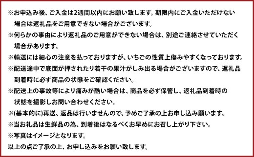 春のあまおう 2L・2A・G規格以上 約250～270g×4パック あまおう いちご イチゴ 苺 果物 くだもの フルーツ【2027年3月上旬～4月下旬発送予定】