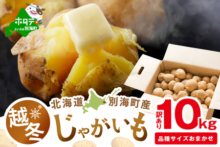 2026年3～4月発送 北海道別海町産 越冬じゃがいも10kg(１種おまかせ)  (きたあかり、ワセシロ、男爵、メークイーン、レッドムーン）