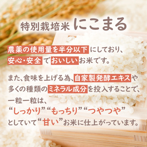 定期便 令和6年産 白米 5kg×12回 特別栽培米 にこまる （ 山田錦 ）　米 お米 こめ コメ 特栽米 5kg 12回 60kg ひょうご安心ブランド ご飯 ごはん ゴハン 精米 兵庫県 加西市