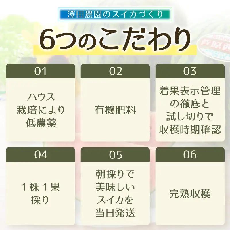 【先行予約】大玉スイカ（7kg以上 1玉入) 皮際まで甘い！シャリ感も抜群！／ あわら 果物 フルーツ すいか 人気 産地直送 ※2027年6月中旬より順次発送 [aw039-a024]