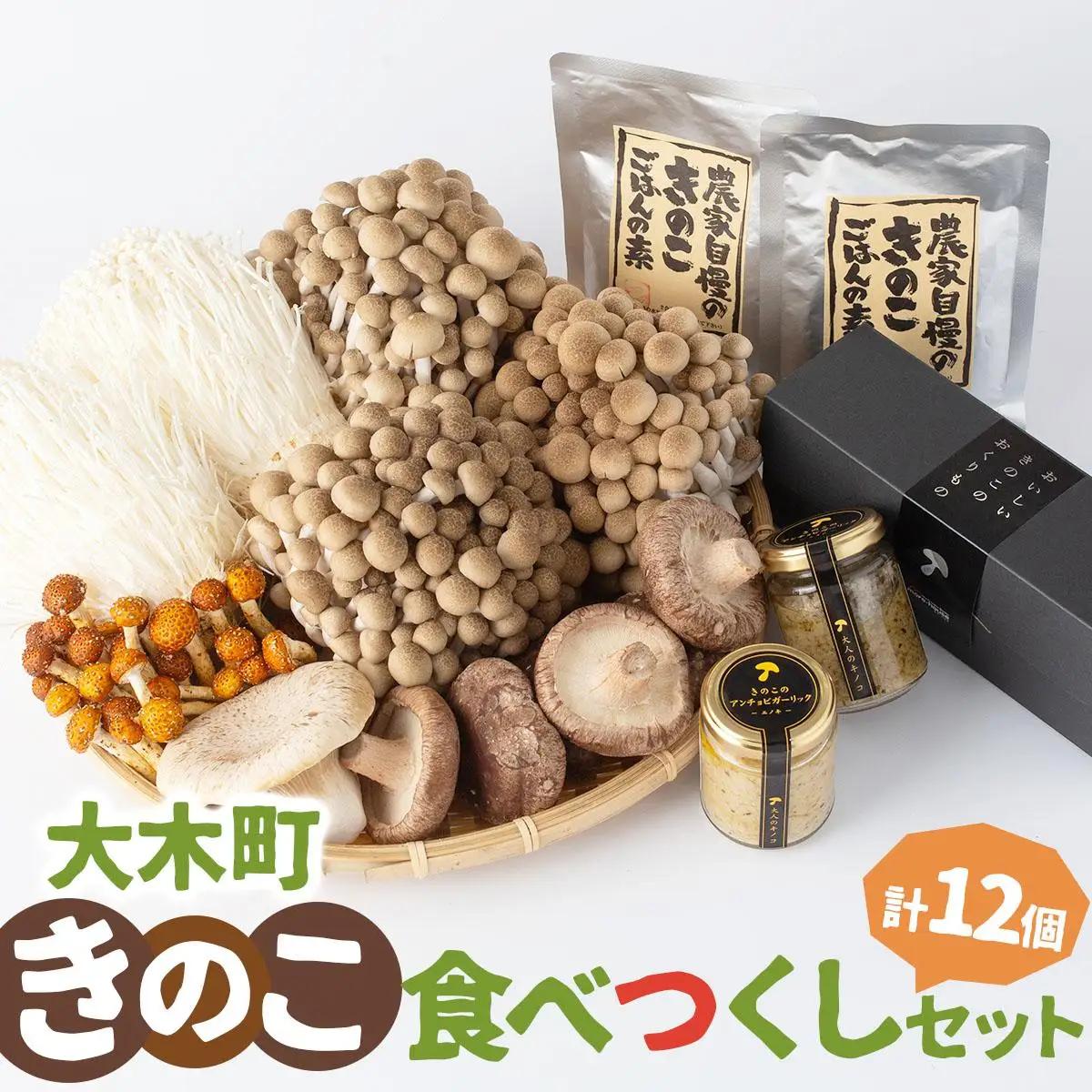 大木町きのこ食べつくしセット　【AZ03】