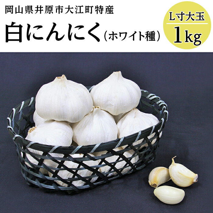 【ふるさと納税】A-30白にんにく(L寸大玉)1kg