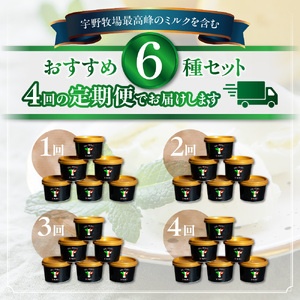 【季節定期便】パティシエおすすめジェラート6個セット×4回