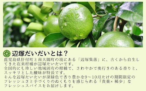 ＜先行予約受付中！2025年9月下旬より順次発送＞ででこしょう＆ででスコセット(ででこしょう30g・ででスコ65ml)