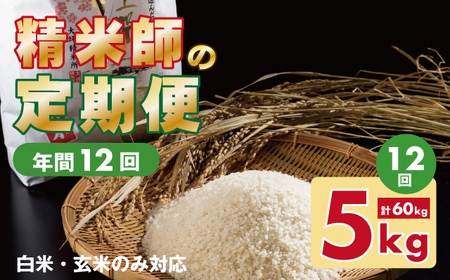 【定期便】 (12ヶ月連続お届け) 大坪精米所 佐賀ブランド米定期便（5kg×12回） 特A評価のブランド米 Q192-003