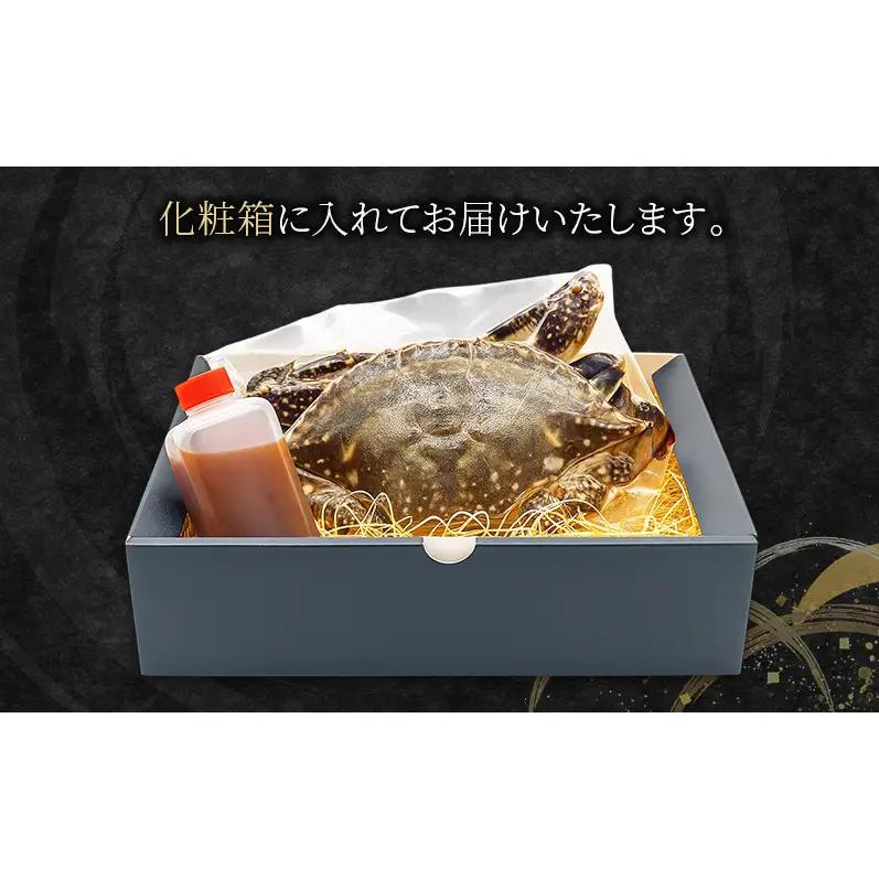 ヨンくんのカンジャンケジャン1匹 ワタリガニ カニ 韓国料理 静岡県 袋井市