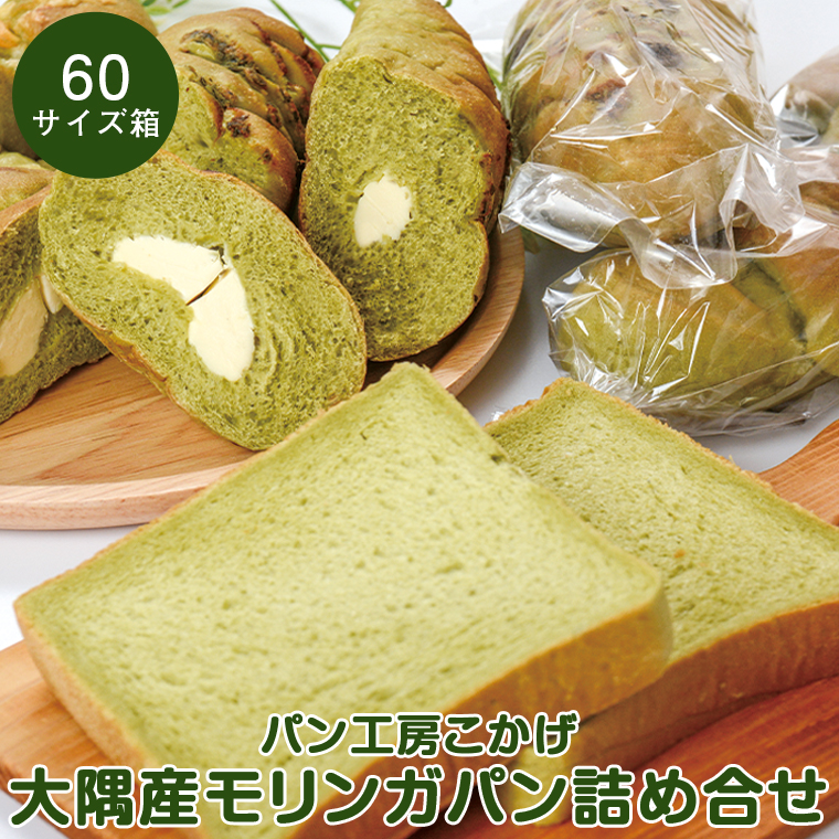 【P65001】大隅産モリンガパンハーフセット