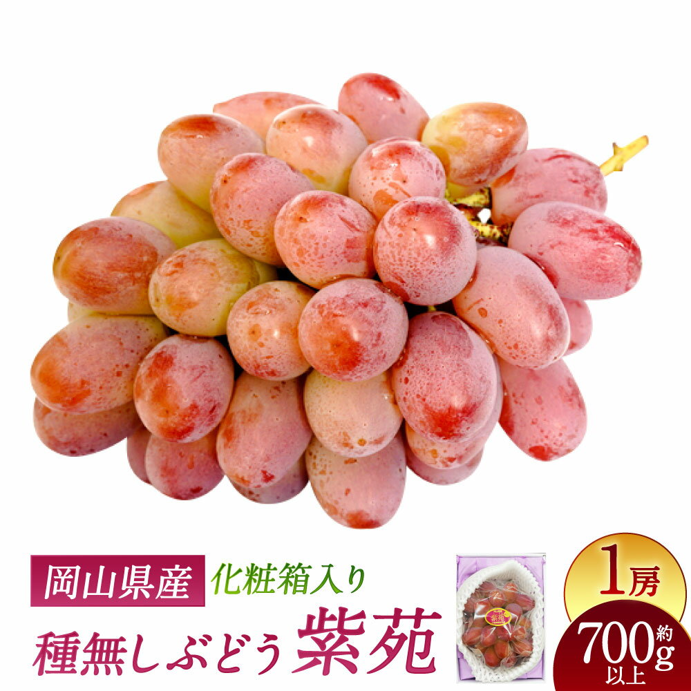 【ふるさと納税】紫苑 1房 700g以上 化粧箱入り ぶどう ブドウ 葡萄 くだもの 果物 果実 フルーツ ギフト 贈答 冷蔵 国産 岡山県 美咲町 送料無料 【2025年10月下旬～11月下旬まで発送予定】