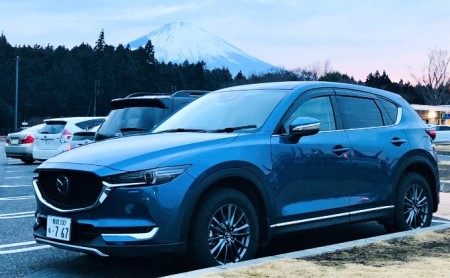  サイクロンアース CX-5・8用 ディーゼルエンジン車[ アースコード アースケーブル マツダ ディーゼル ] マイカー 車両 マツダ車 静電気の除去 煤防止 ディーゼル車 
