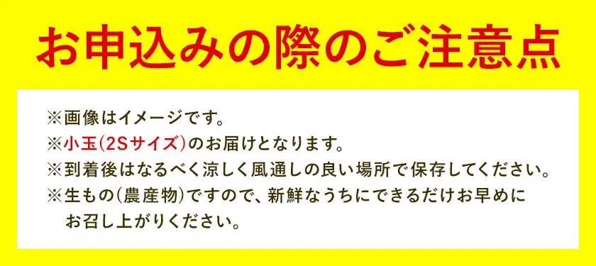 みかん ゆら早生みかん 厳選 小玉 2Sサイズ 5kg GOGO農園《10月上旬-11月末頃出荷》
